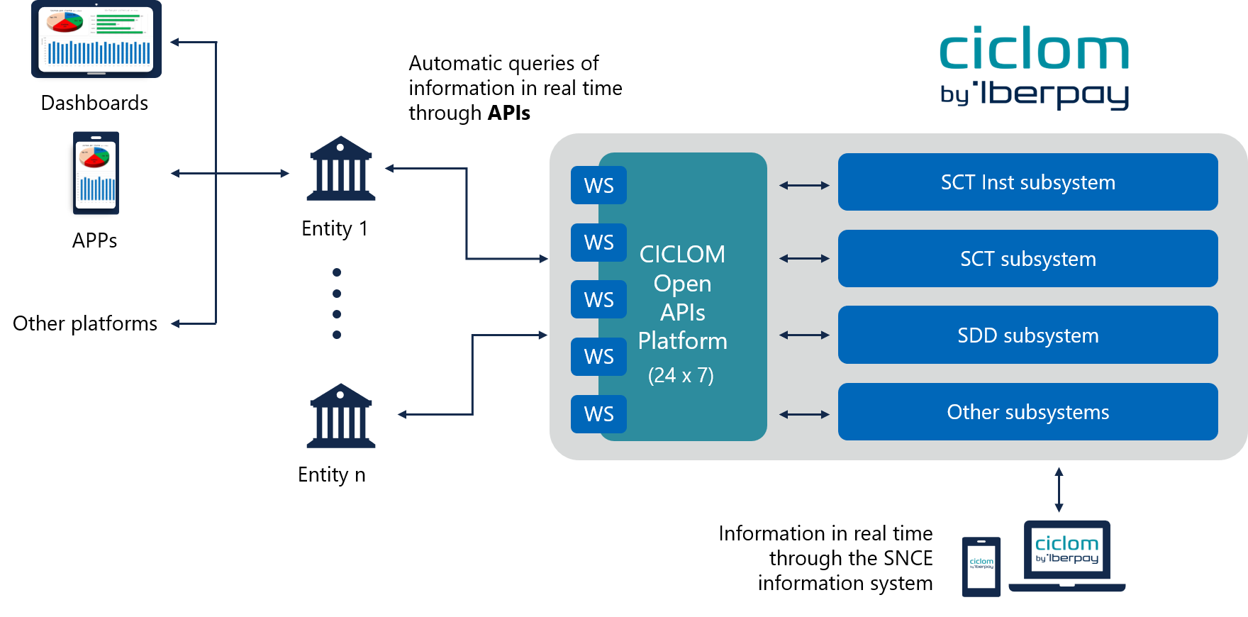 CICLOM Open APIS Service