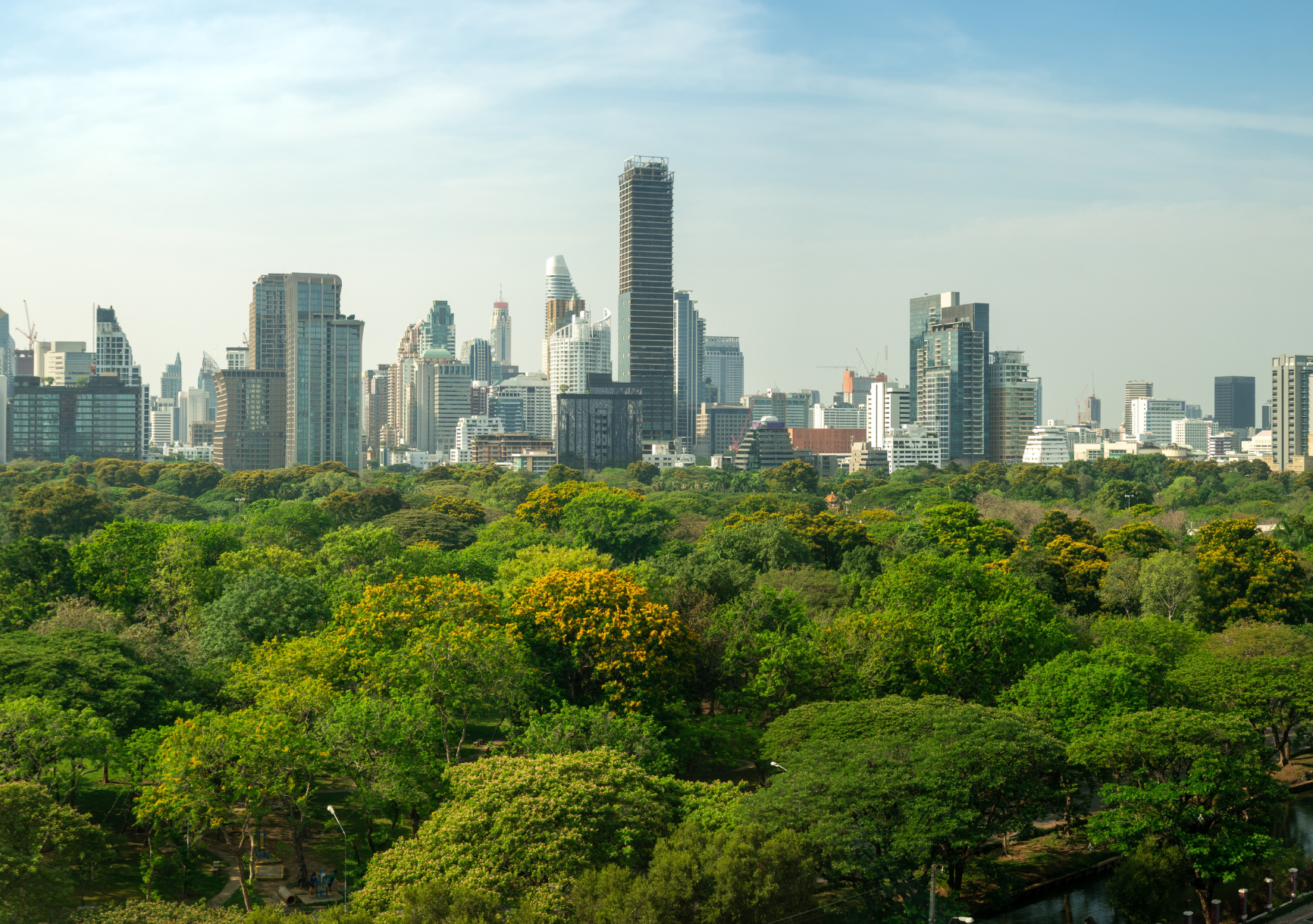 Sin Título (1732 X 1219 Px)